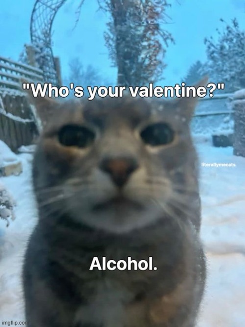 image tagged in rmk | made w/ Imgflip meme maker