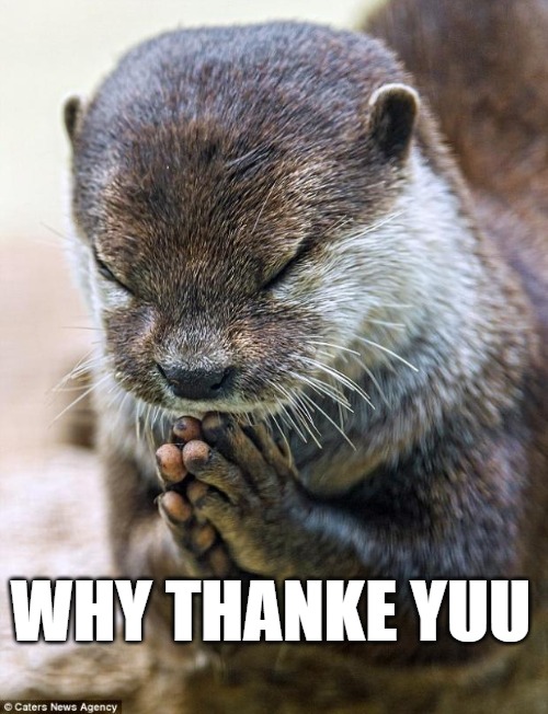 Thank you Lord Otter | WHY THANKE YUU | image tagged in thank you lord otter | made w/ Imgflip meme maker