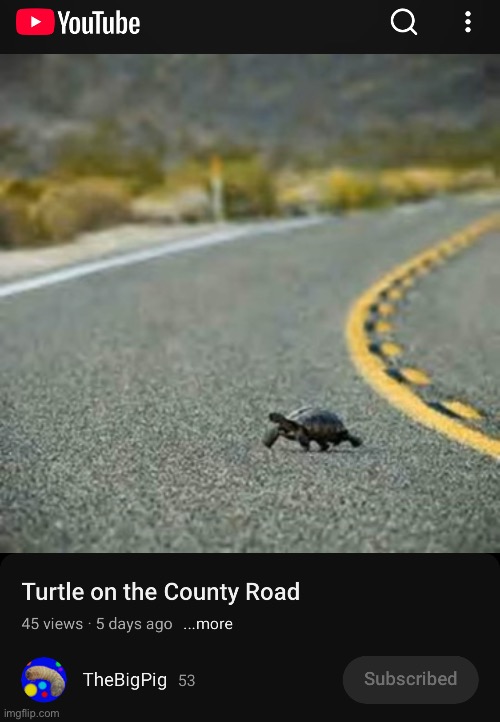 ‘urtle on the ‘ounty ‘oad | made w/ Imgflip meme maker