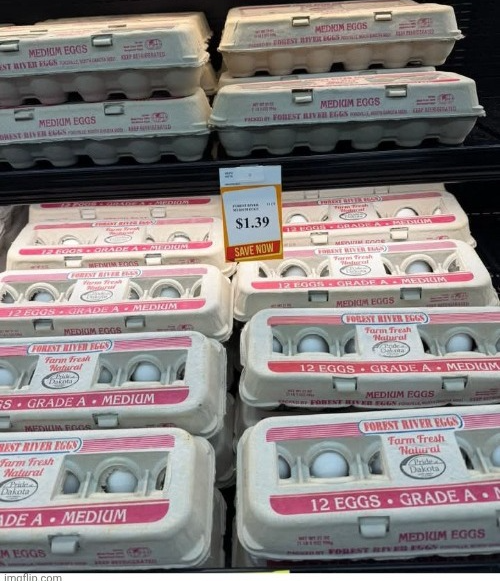 Egg prices under Trump Blank Meme Template
