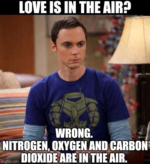 Love Is In The Air? | LOVE IS IN THE AIR? WRONG. 
NITROGEN, OXYGEN AND CARBON DIOXIDE ARE IN THE AIR. | image tagged in chrisjoines1 | made w/ Imgflip meme maker
