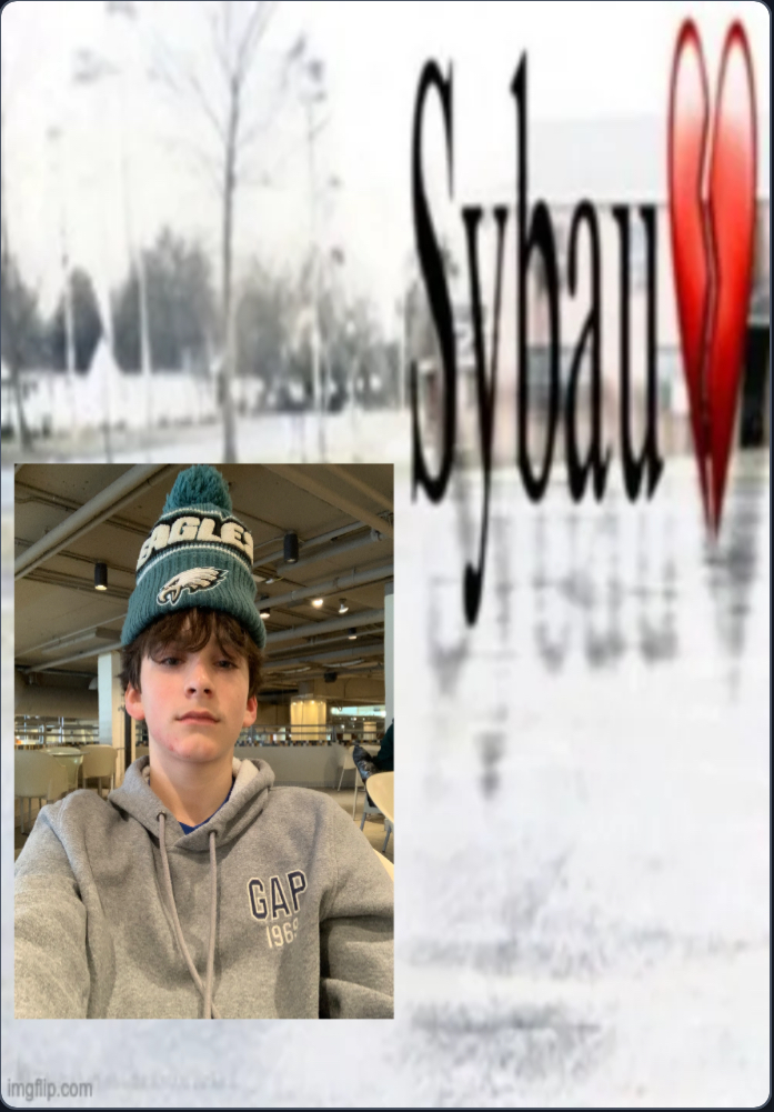 Me with the sybau cut out Blank Meme Template