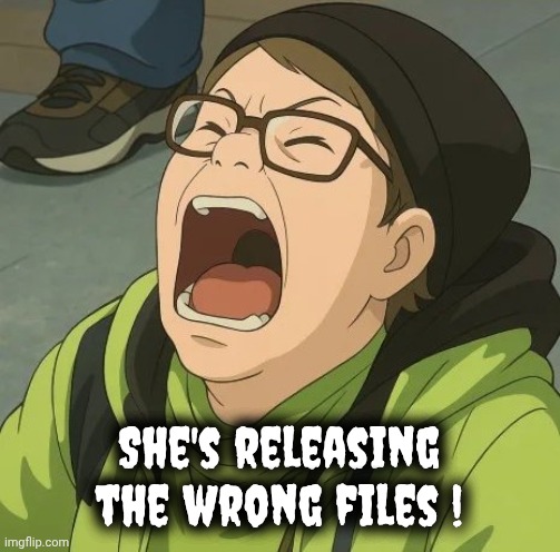 Looney Toons Liberals | She's releasing the wrong files ! | image tagged in looney toons liberals | made w/ Imgflip meme maker