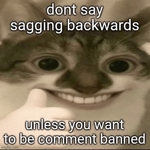 do not ban me js for ts please im warning yall | dont say sagging backwards; unless you want to be comment banned | image tagged in just that word alone with 0 context isnt racist | made w/ Imgflip meme maker