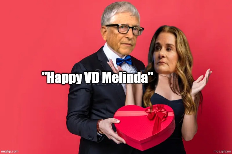 No Wonder she got $76 BILLION in the Divorce | "Happy VD Melinda" | image tagged in bill melinda gates vd meme | made w/ Imgflip meme maker