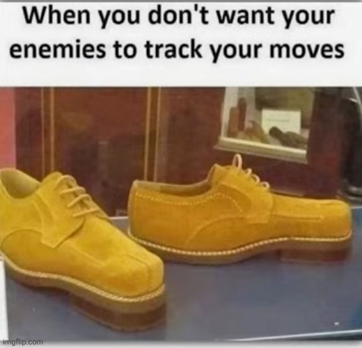 Backwards shoes | image tagged in backwards,shoes,smart,enimies,walking,footprints | made w/ Imgflip meme maker