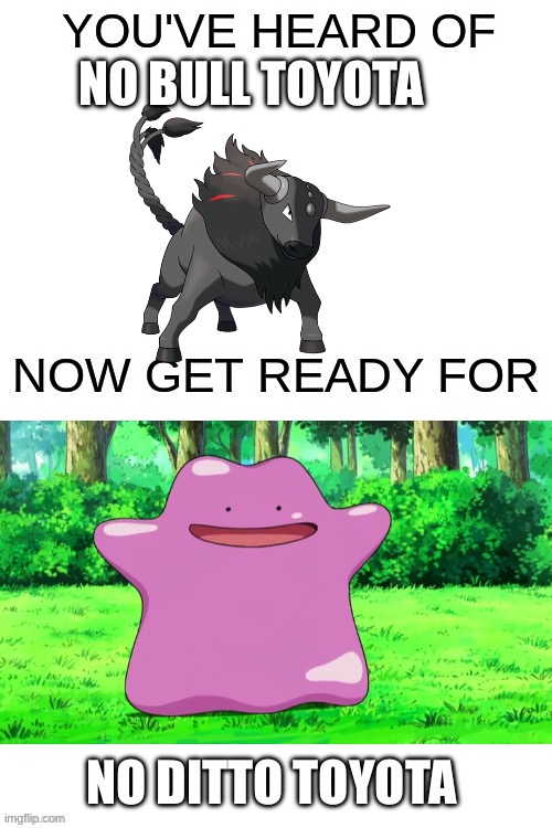 You've heard of ______ | NO BULL TOYOTA; NO DITTO TOYOTA | image tagged in you've heard of ______ | made w/ Imgflip meme maker