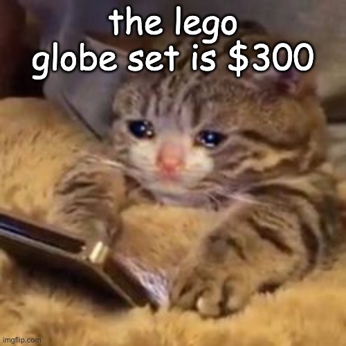 i guess ill never get it | the lego globe set is $300 | image tagged in crying cat on phone | made w/ Imgflip meme maker
