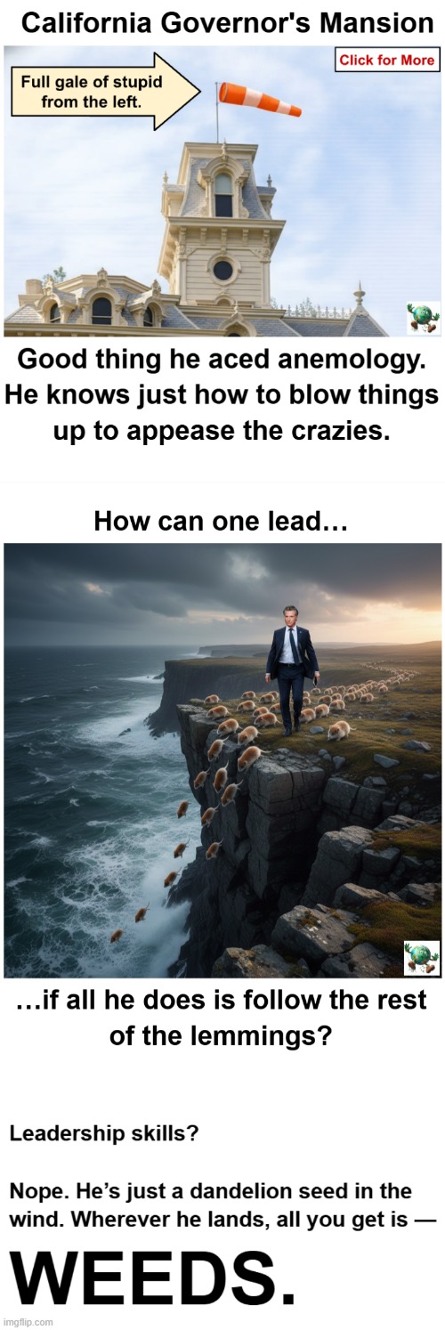 Does Gavin Newsom have the leadership skills to be president? | image tagged in maga,conservative,gavin,california | made w/ Imgflip meme maker