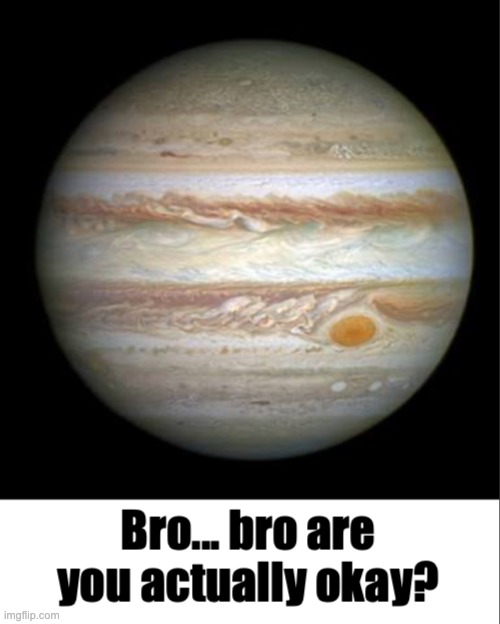 image tagged in bro are you actually okay | made w/ Imgflip meme maker