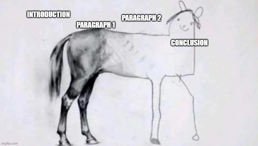 Essays | PARAGRAPH 2; PARAGRAPH 1; INTRODUCTION; CONCLUSION | image tagged in half drawn horse | made w/ Imgflip meme maker