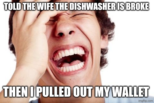 She doesn't pay enough to do them | TOLD THE WIFE THE DISHWASHER IS BROKE; THEN I PULLED OUT MY WALLET | image tagged in hilarious | made w/ Imgflip meme maker