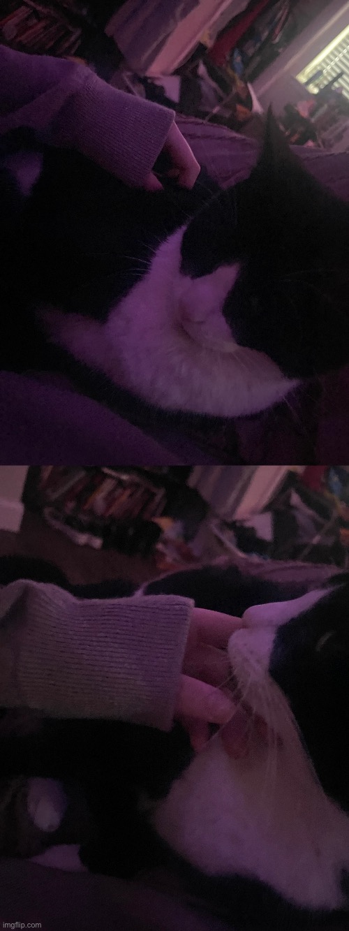 discy kitty | made w/ Imgflip meme maker