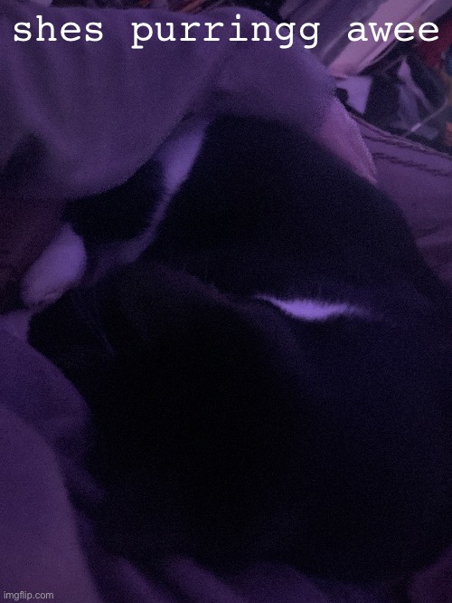 shes purringg awee | made w/ Imgflip meme maker