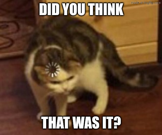 DID YOU THINK THAT WAS IT? | image tagged in loading cat | made w/ Imgflip meme maker