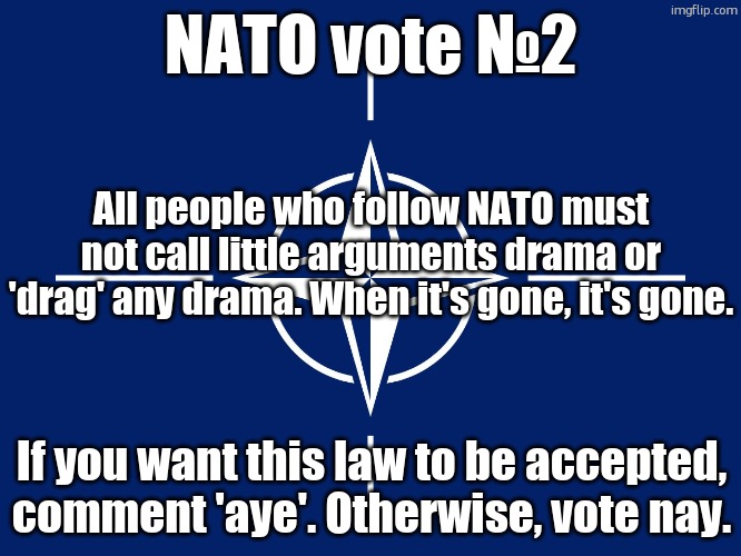 NATO flag | NATO vote №2; All people who follow NATO must not call little arguments drama or 'drag' any drama. When it's gone, it's gone. If you want this law to be accepted, comment 'aye'. Otherwise, vote nay. | image tagged in nato flag | made w/ Imgflip meme maker
