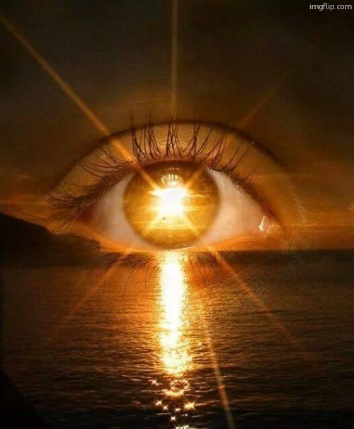 New Dawn | image tagged in new dawn | made w/ Imgflip meme maker