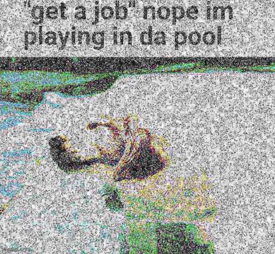 Nope I’m in the pool | image tagged in dogs,memes,bruh | made w/ Imgflip meme maker