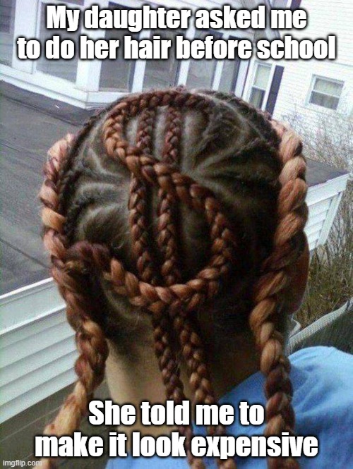 Expensive Hairdo | My daughter asked me to do her hair before school; She told me to make it look expensive | image tagged in hairstyle,expensive,dad,awesome | made w/ Imgflip meme maker