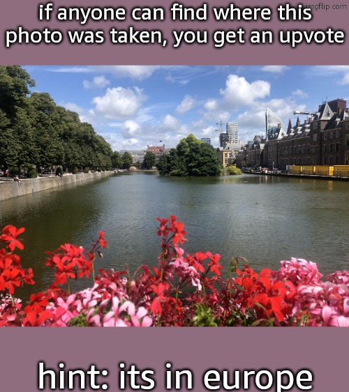 Roses | if anyone can find where this photo was taken, you get an upvote; hint: its in europe | image tagged in roses | made w/ Imgflip meme maker
