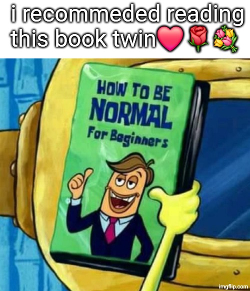 How to be normal for beginners | i recommeded reading this book twin❤️🌹💐 | image tagged in how to be normal for beginners | made w/ Imgflip meme maker