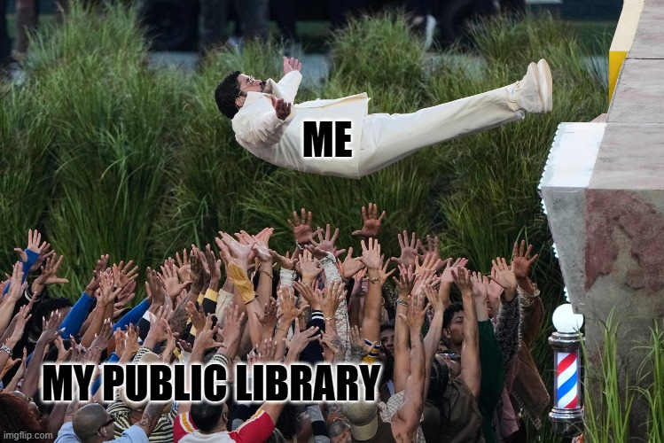 BB PubLib | ME; MY PUBLIC LIBRARY | image tagged in bad bunny fall | made w/ Imgflip meme maker