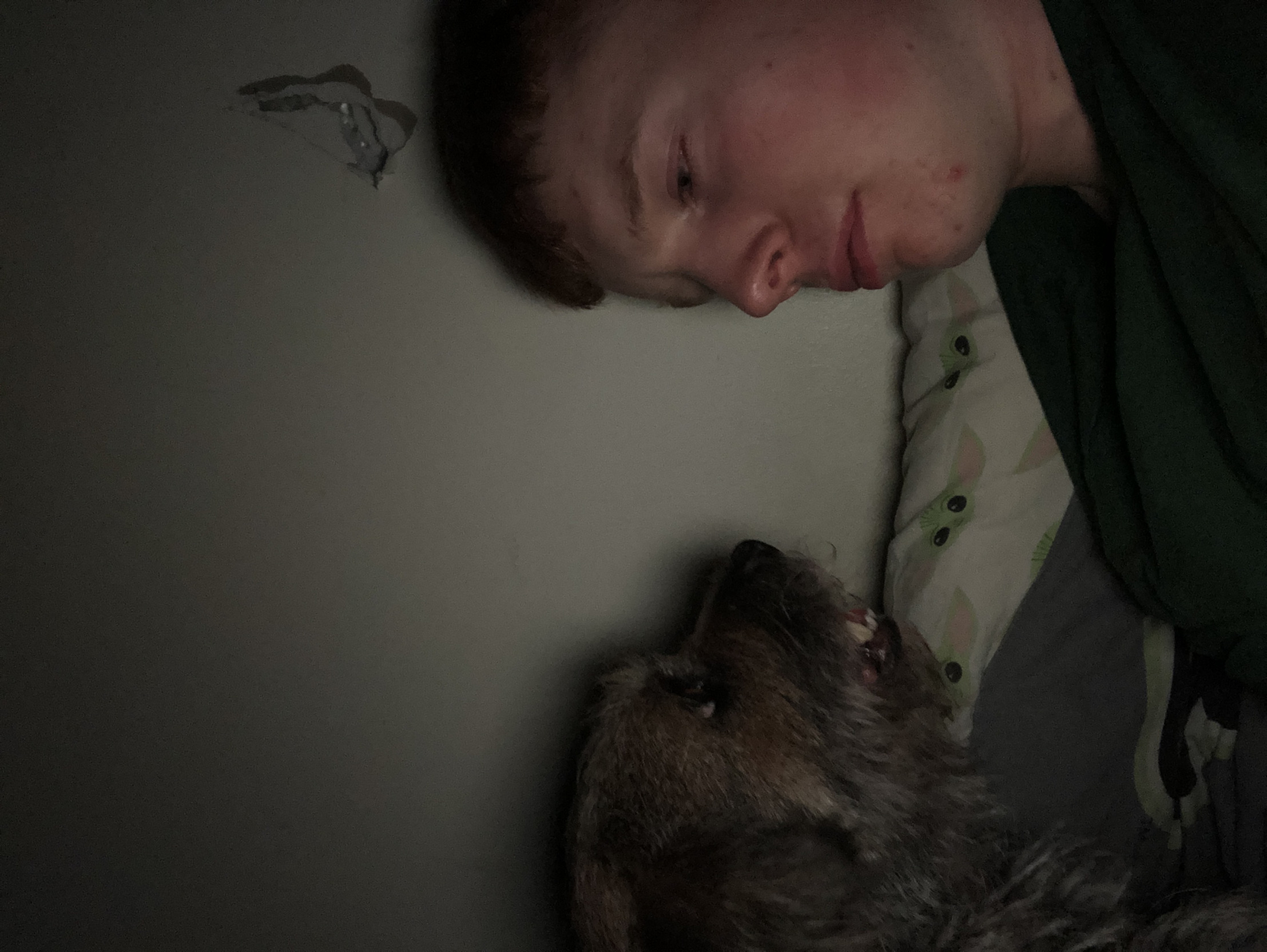 Dog talk Blank Meme Template