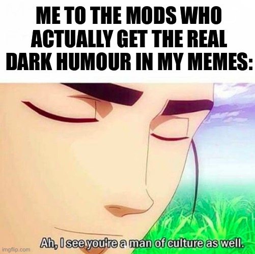 Ah,I see you are a man of culture as well | ME TO THE MODS WHO ACTUALLY GET THE REAL DARK HUMOUR IN MY MEMES: | image tagged in ah i see you are a man of culture as well | made w/ Imgflip meme maker