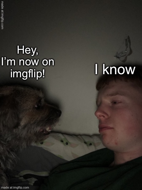 Dog talk but fixed | I know; Hey, I’m now on imgflip! | image tagged in dog talk but fixed | made w/ Imgflip meme maker