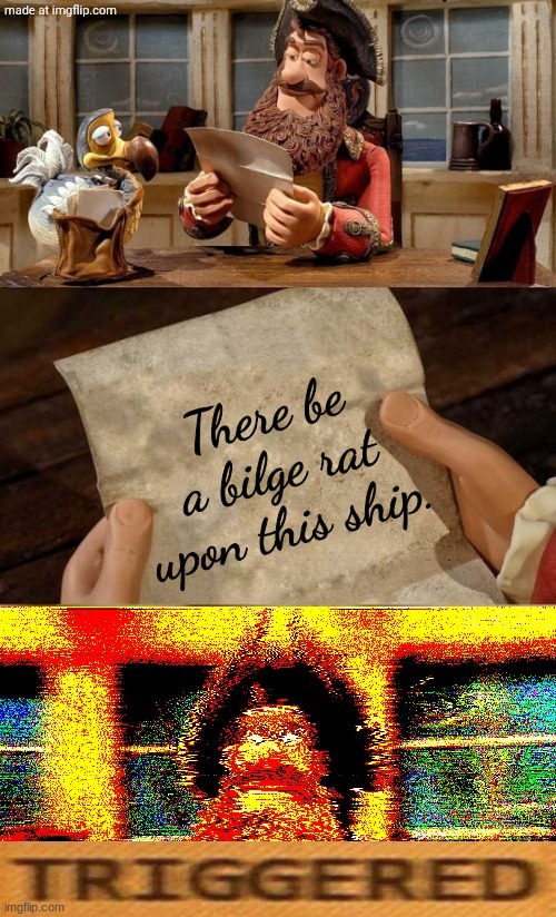 I better not see any bilge rats on this here post! | There be a bilge rat upon this ship. | image tagged in this captain has never seen such cap | made w/ Imgflip meme maker