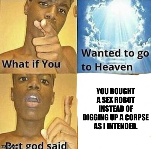 What if you wanted to go to Heaven | YOU BOUGHT A SEX ROBOT INSTEAD OF DIGGING UP A CORPSE AS I INTENDED. | image tagged in what if you wanted to go to heaven | made w/ Imgflip meme maker