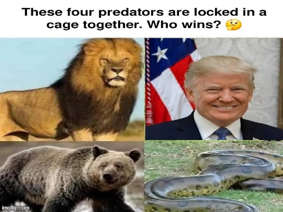 image tagged in don't take seriously | made w/ Imgflip meme maker