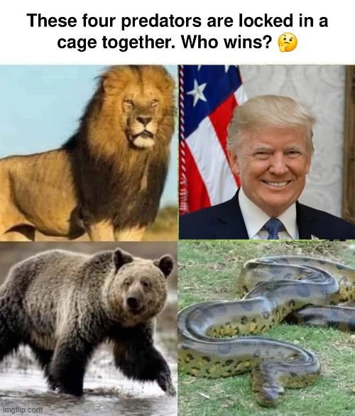 If Clinton and Biden are involved...the dow jones is good so... | image tagged in dow jones,happy valentine's day,valentine's day | made w/ Imgflip meme maker