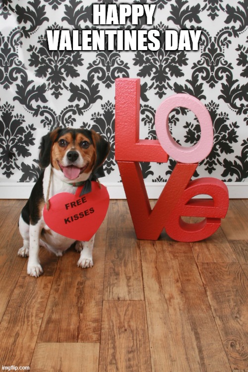 Spread love | HAPPY VALENTINES DAY | image tagged in happy valentine's day | made w/ Imgflip meme maker