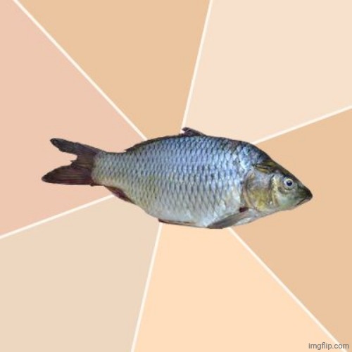 Wrong Place Tuna | image tagged in wrong place tuna | made w/ Imgflip meme maker