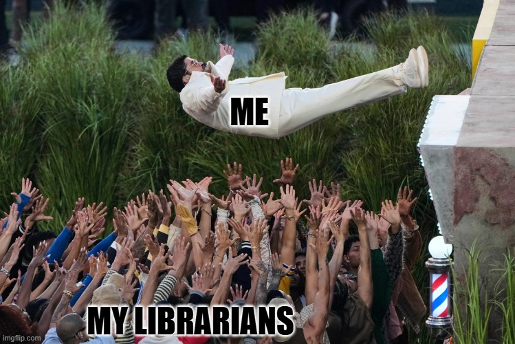 BB Librarians | ME; MY LIBRARIANS | image tagged in bad bunny fall | made w/ Imgflip meme maker