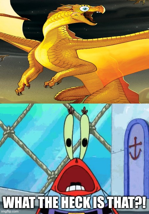SunnyBob SandPants 3 | Stalking Nightmare | WHAT THE HECK IS THAT?! | image tagged in surprised mr krabs,spongebob,wof,wings of fire | made w/ Imgflip meme maker