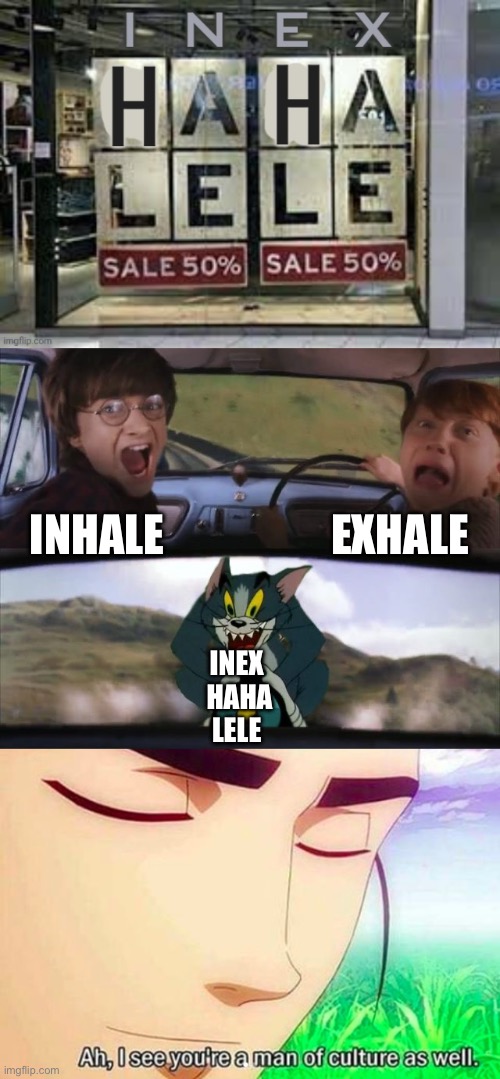 In out in out in out | INHALE EXHALE INEX 
HAHA
LELE | image tagged in tom chasing harry and ron weasly,ah i see you are a man of culture as well,inhales,exhale | made w/ Imgflip meme maker