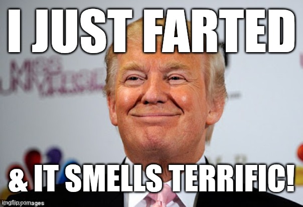 What Trump seems to say whenever he makes that stupid look on his face: | I JUST FARTED; & IT SMELLS TERRIFIC! | image tagged in donald trump approves,farts,trump,donald trump,smirk | made w/ Imgflip meme maker