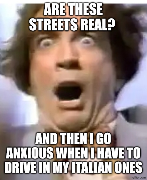 Murray from Martin Short (scared) | ARE THESE STREETS REAL? AND THEN I GO ANXIOUS WHEN I HAVE TO DRIVE IN MY ITALIAN ONES | image tagged in murray from martin short scared | made w/ Imgflip meme maker