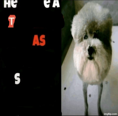 He Made a Statement so Trash | image tagged in he made a statement so trash | made w/ Imgflip meme maker