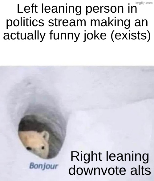 Bonjour | Left leaning person in politics stream making an actually funny joke (exists); Right leaning downvote alts | image tagged in bonjour | made w/ Imgflip meme maker