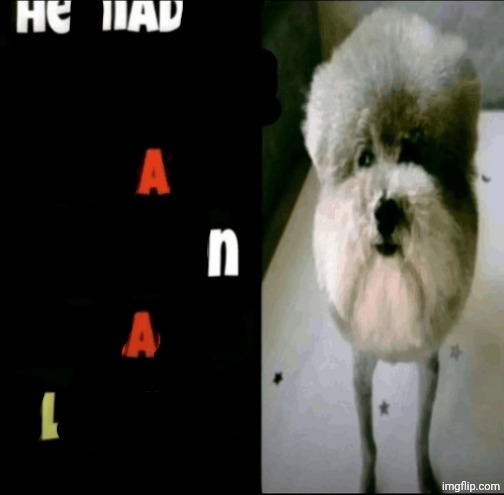 He Made a Statement so Trash | image tagged in he made a statement so trash | made w/ Imgflip meme maker