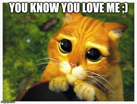 Sorry Kitty | YOU KNOW YOU LOVE ME ;) | image tagged in sorry kitty | made w/ Imgflip meme maker
