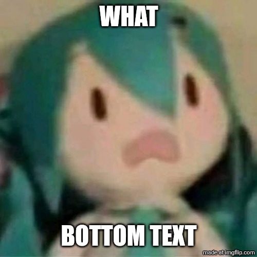 Shocked Miku Plush | WHAT BOTTOM TEXT | image tagged in shocked miku plush | made w/ Imgflip meme maker