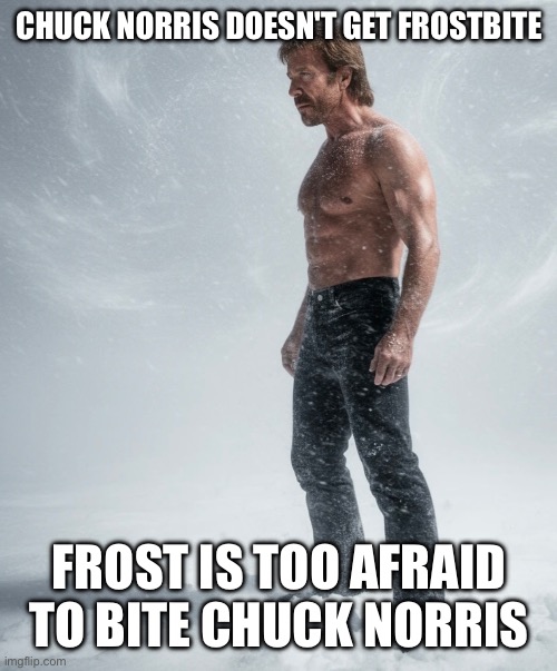 Chuck Norris | CHUCK NORRIS DOESN'T GET FROSTBITE; FROST IS TOO AFRAID TO BITE CHUCK NORRIS | image tagged in chuck norris,chuck norris fact,chuck,tough guy,shirtless,macho man | made w/ Imgflip meme maker
