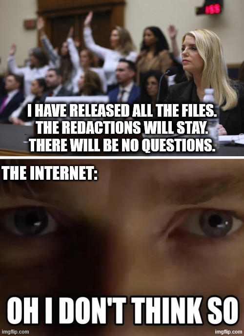 I HAVE RELEASED ALL THE FILES.
THE REDACTIONS WILL STAY.
THERE WILL BE NO QUESTIONS. | made w/ Imgflip meme maker