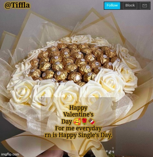 #LIVINGTHESINGLELIFE | Happy Valentine's Day 🥰🌹🍫
For me everyday rn is Happy Single's Day. | image tagged in tiffla valentine's day announcement template | made w/ Imgflip meme maker