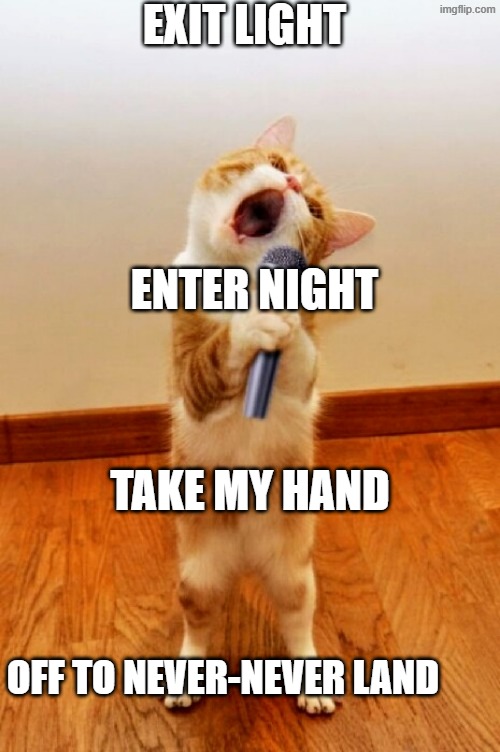 Singing cat | EXIT LIGHT OFF TO NEVER-NEVER LAND ENTER NIGHT TAKE MY HAND | image tagged in singing cat | made w/ Imgflip meme maker