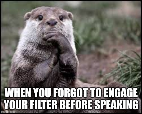 Accidentally Saying Exactly What You Think | WHEN YOU FORGOT TO ENGAGE YOUR FILTER BEFORE SPEAKING | image tagged in funny memes,otter,big mouth | made w/ Imgflip meme maker